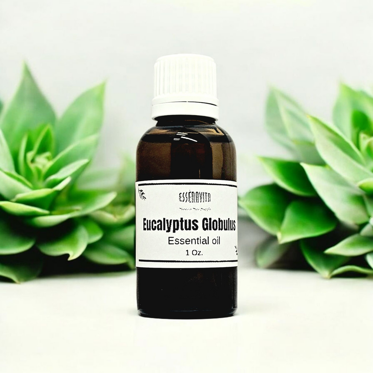 Eucalyptus Globulus Essential Oil – Professional Spa Grade – 1 fl oz