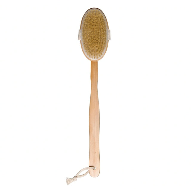 Body brush with wooden handle and natural bristles on a white background