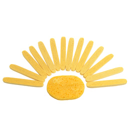 OVAL PVA COMPRESSED SPONES 15PK