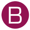 BERRYWELL APPLICATION BRUSH